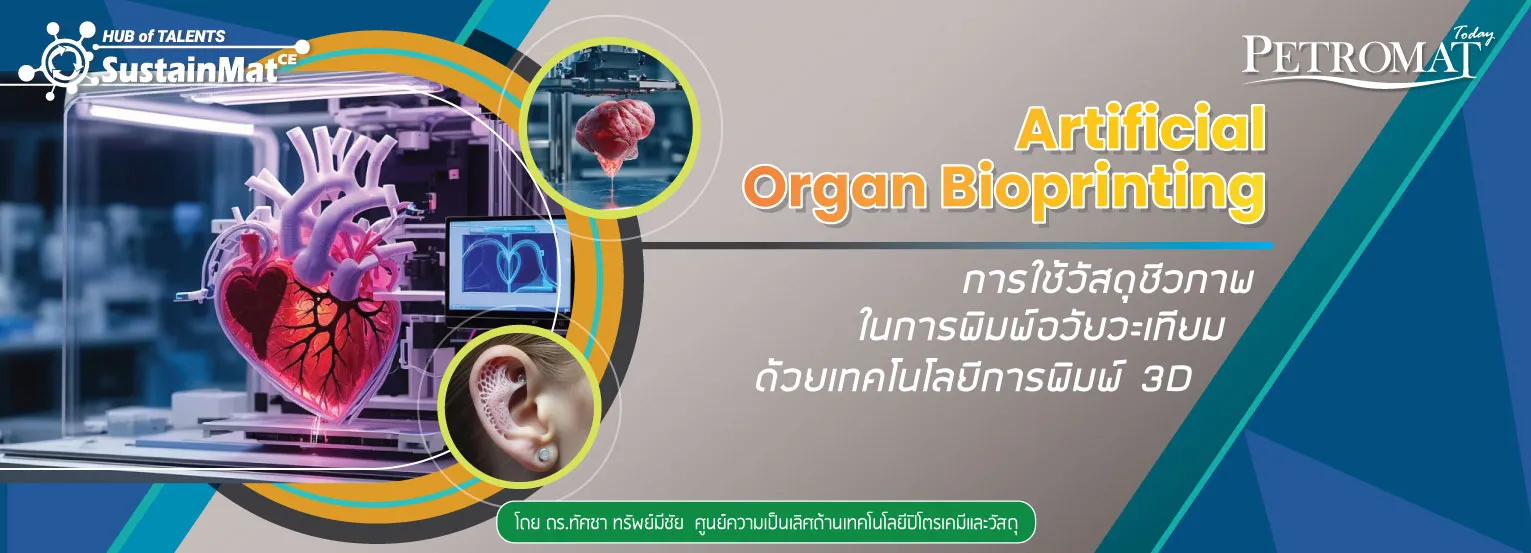 Organ-Bioprinting-1-hub