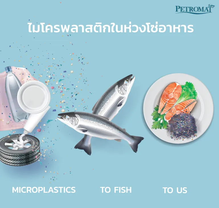 ไมโครพลาสติก-2