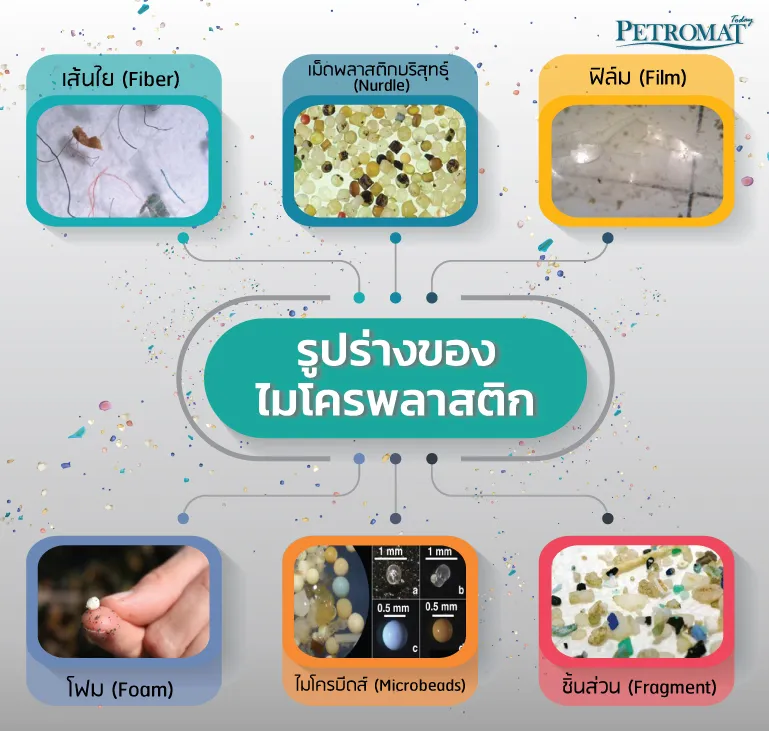 ไมโครพลาสติก-3