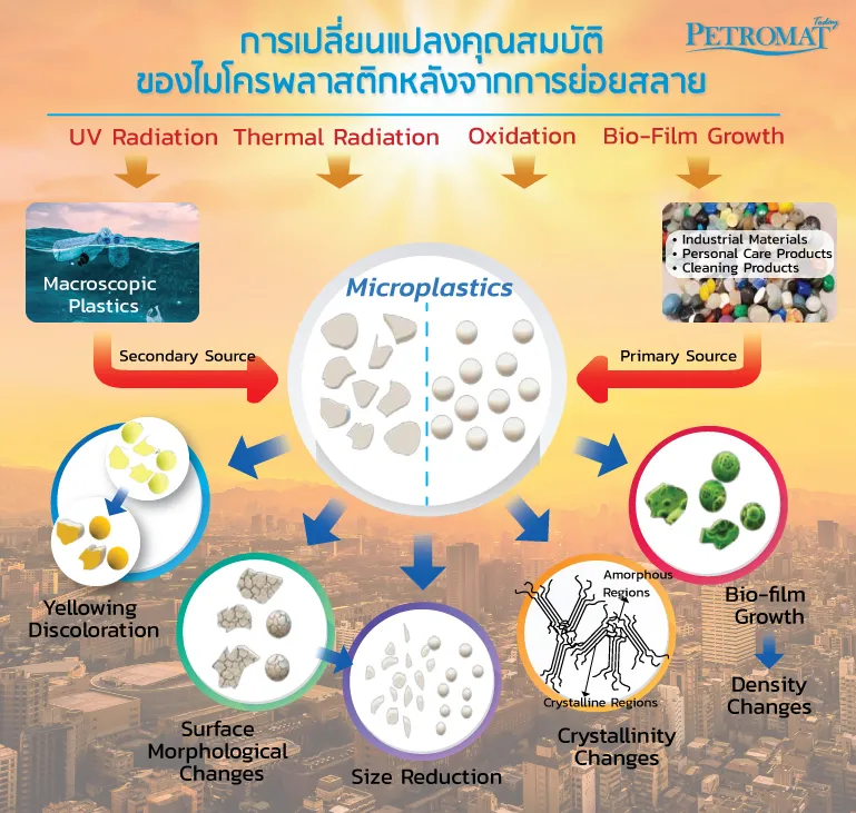 ไมโครพลาสติก-5
