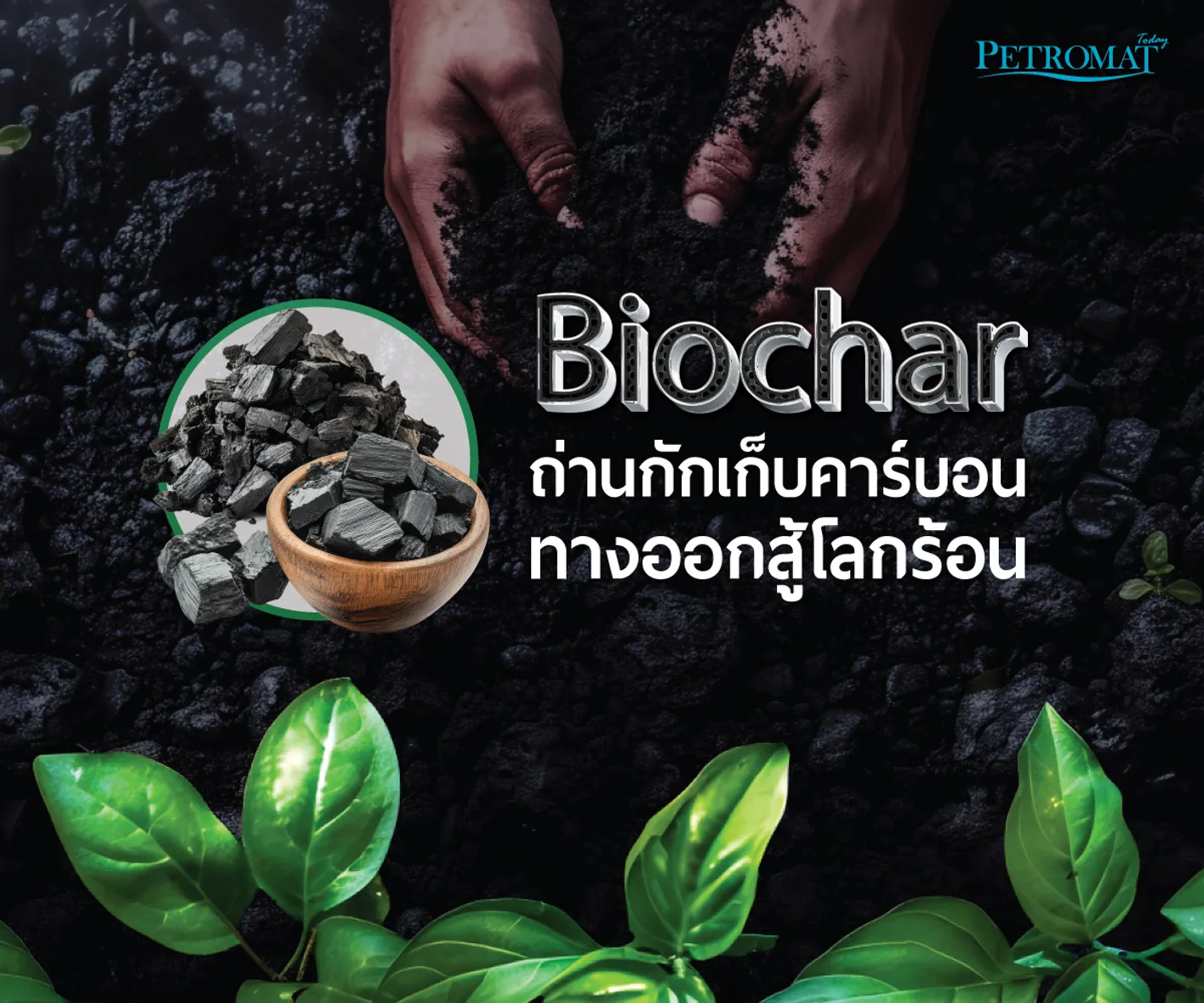biochar-2