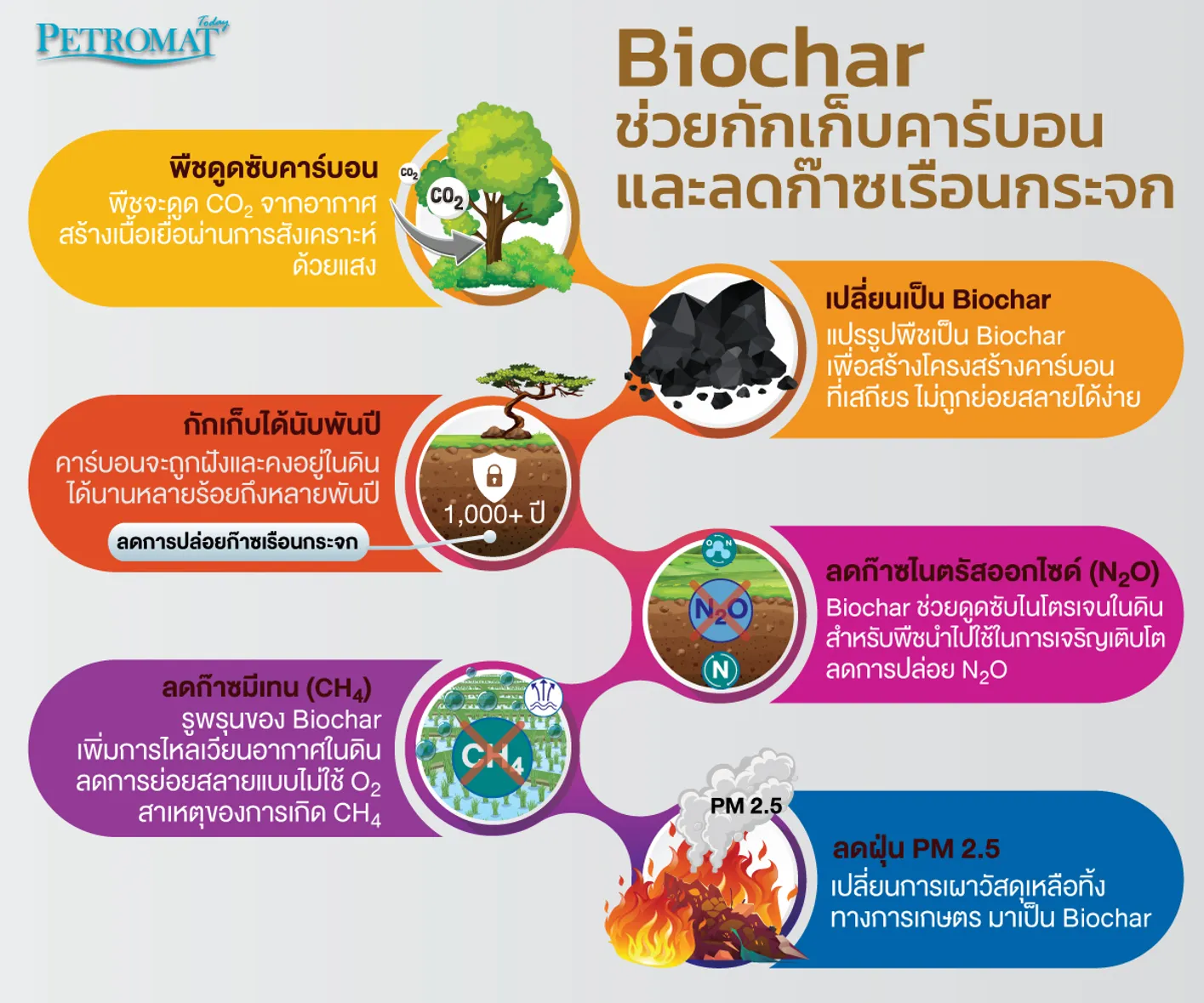biochar-4