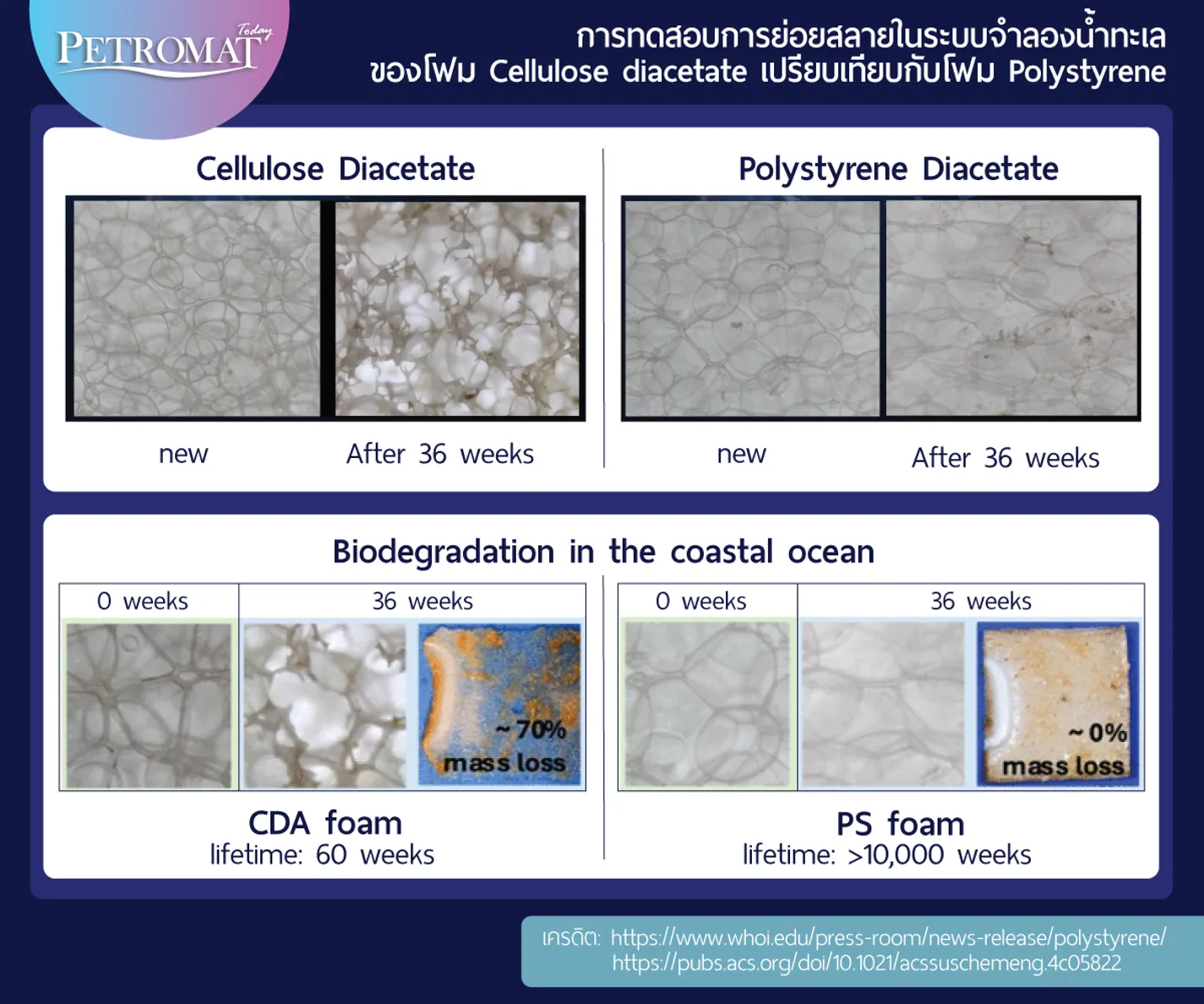 Ocean-degradable-5