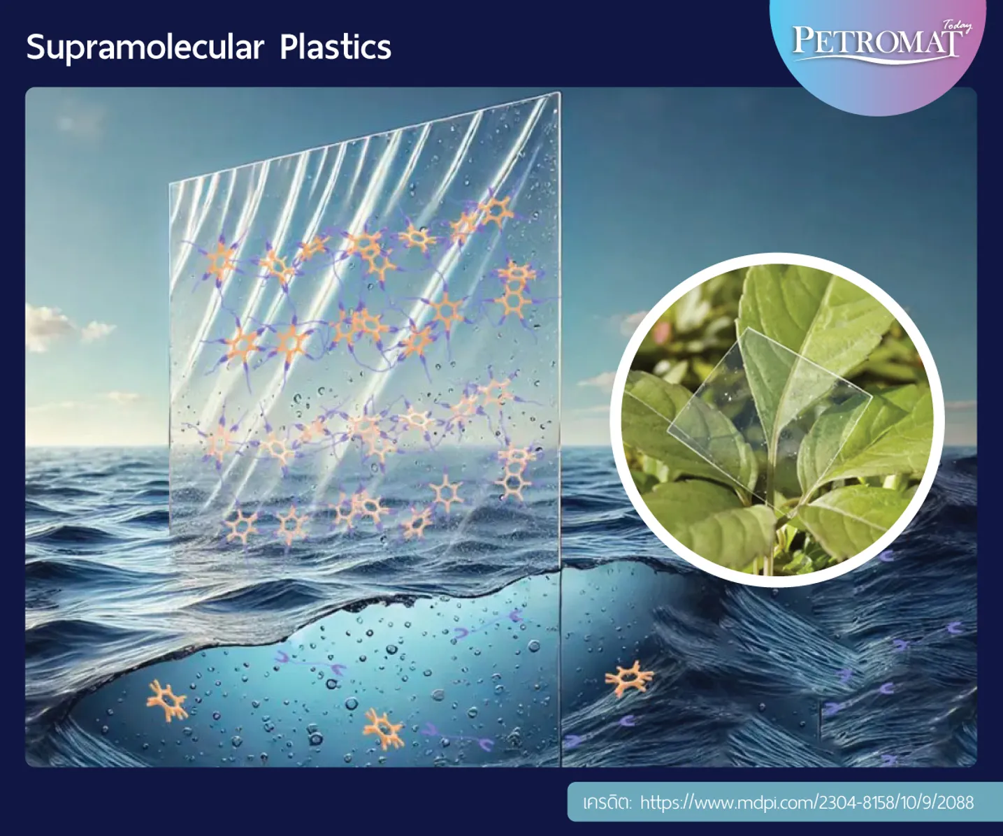 Ocean-degradable-4
