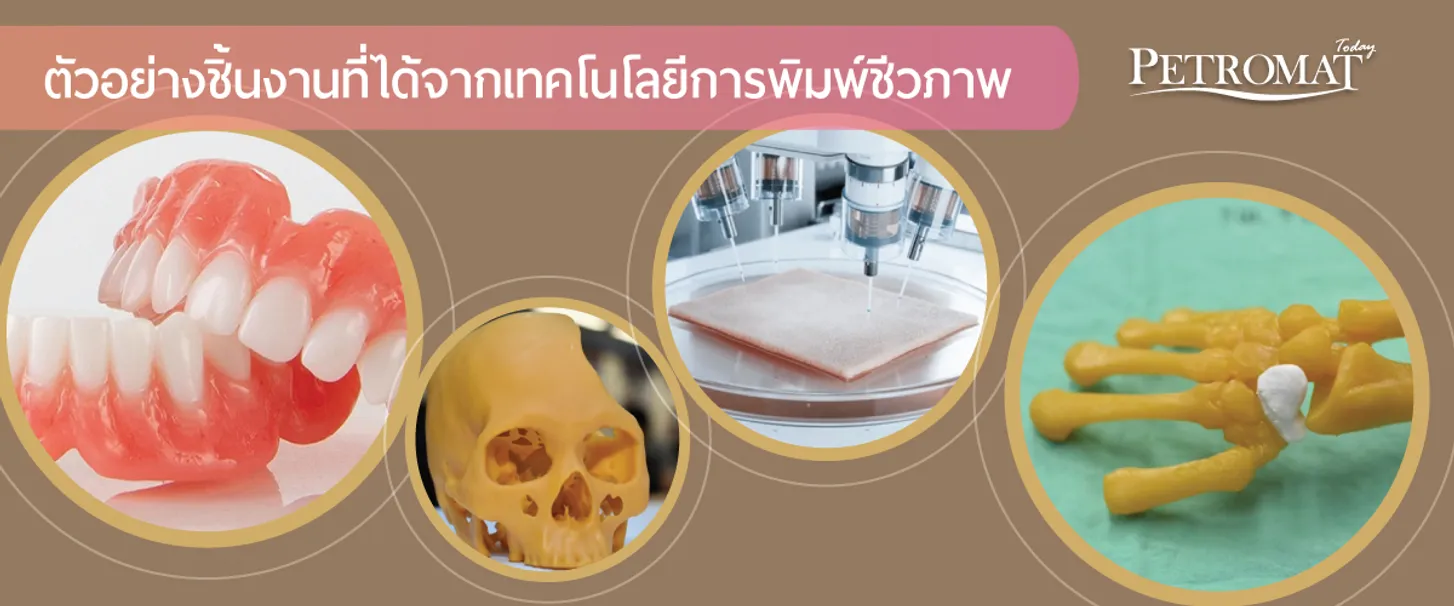 Organ-Bioprinting-5