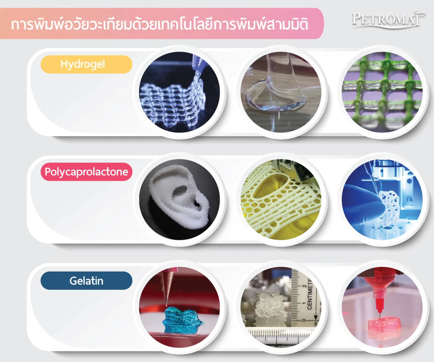 Organ-Bioprinting-3