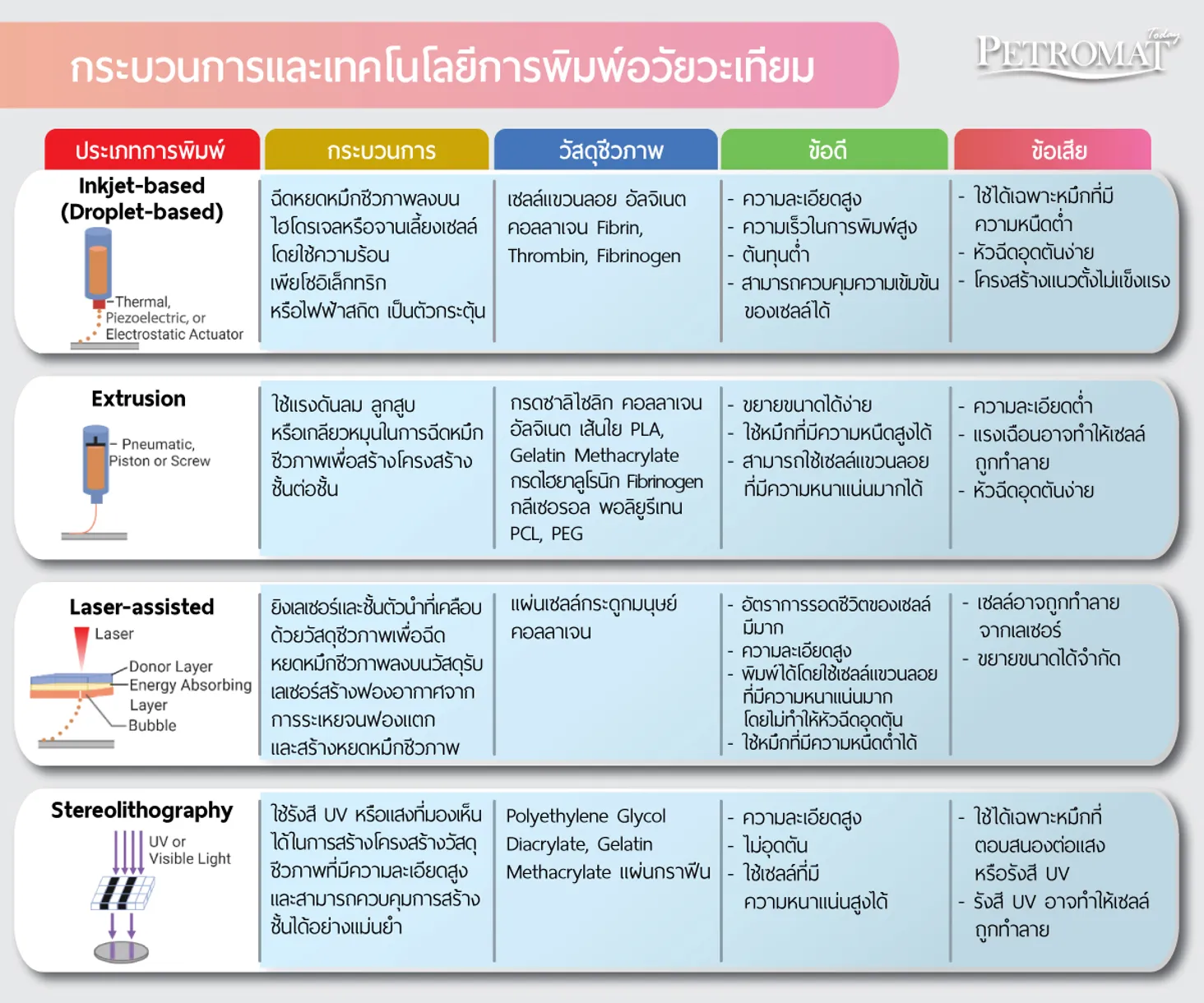 Organ-Bioprinting-4