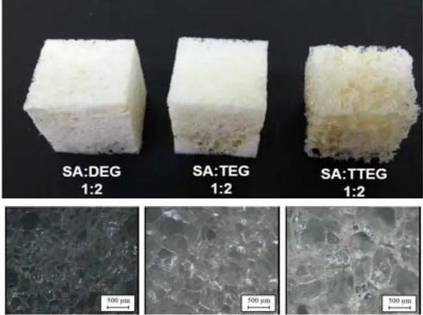 Bio-basedPUfoam