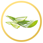 thainanoherb-icon12
