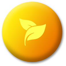 thainanoherb-icon2