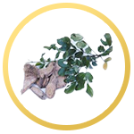 thainanoherb-icon6