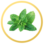 thainanoherb-icon9