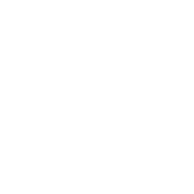 ic-phone
