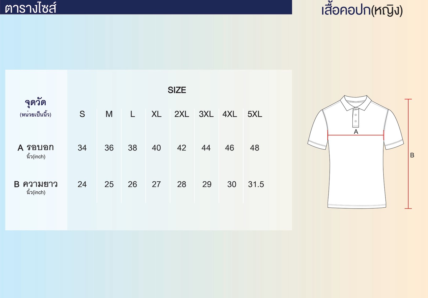 Sizeเสื้อคอปก(หญิง)