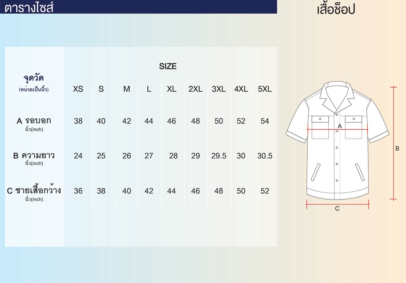 Sizeเสื้อช็อป