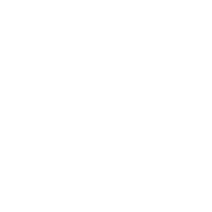 ic-pin