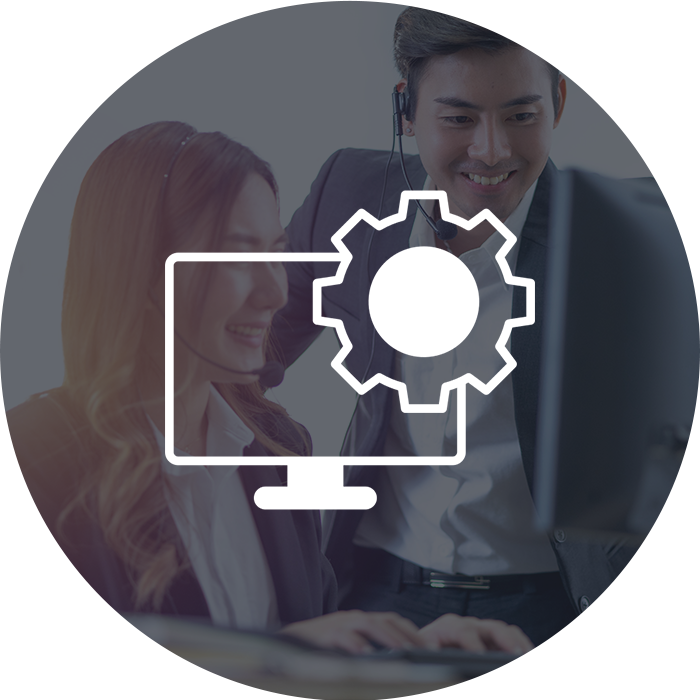 IT-Consultant