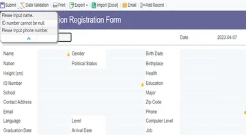 Importing-Excel-Data-Online