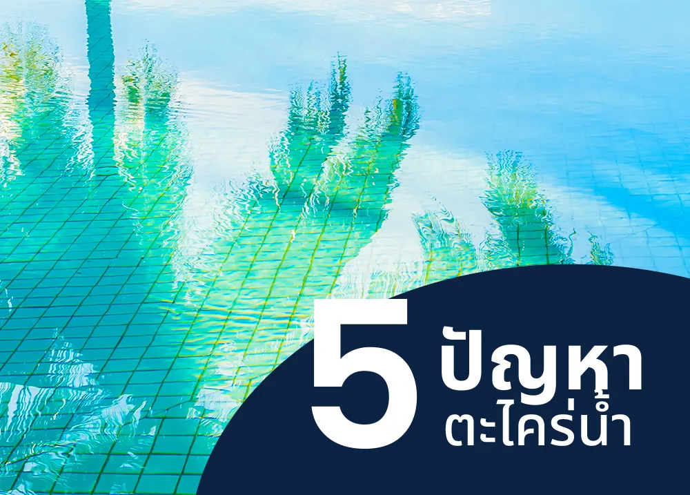 4-5-ปัญหาตะไคร่น้ำ