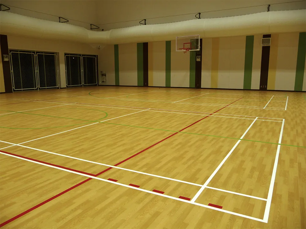 สนามกีฬาอเนกป