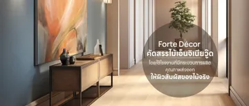 fortedecorslide3edit1