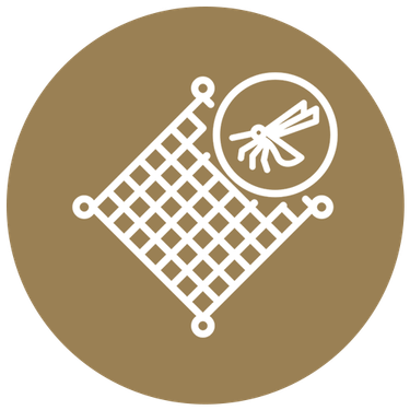 icon-about03