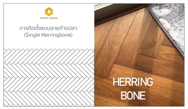 fortedecor(4)