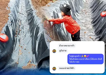 ผ้าปูคลองไส้ไก่-(3)