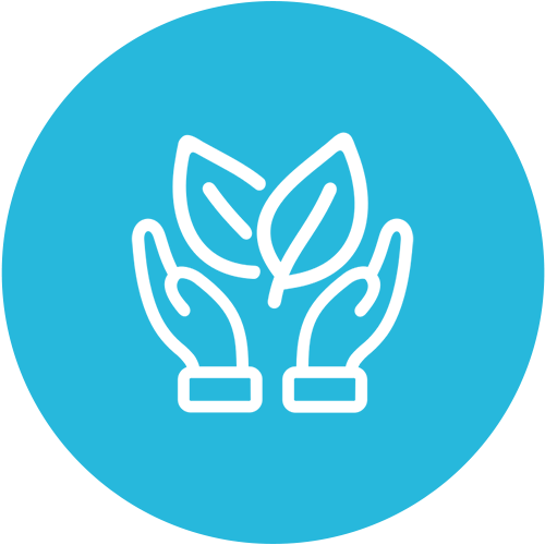plant11317290