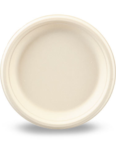 pixelcut-export-2026-03-07T150540