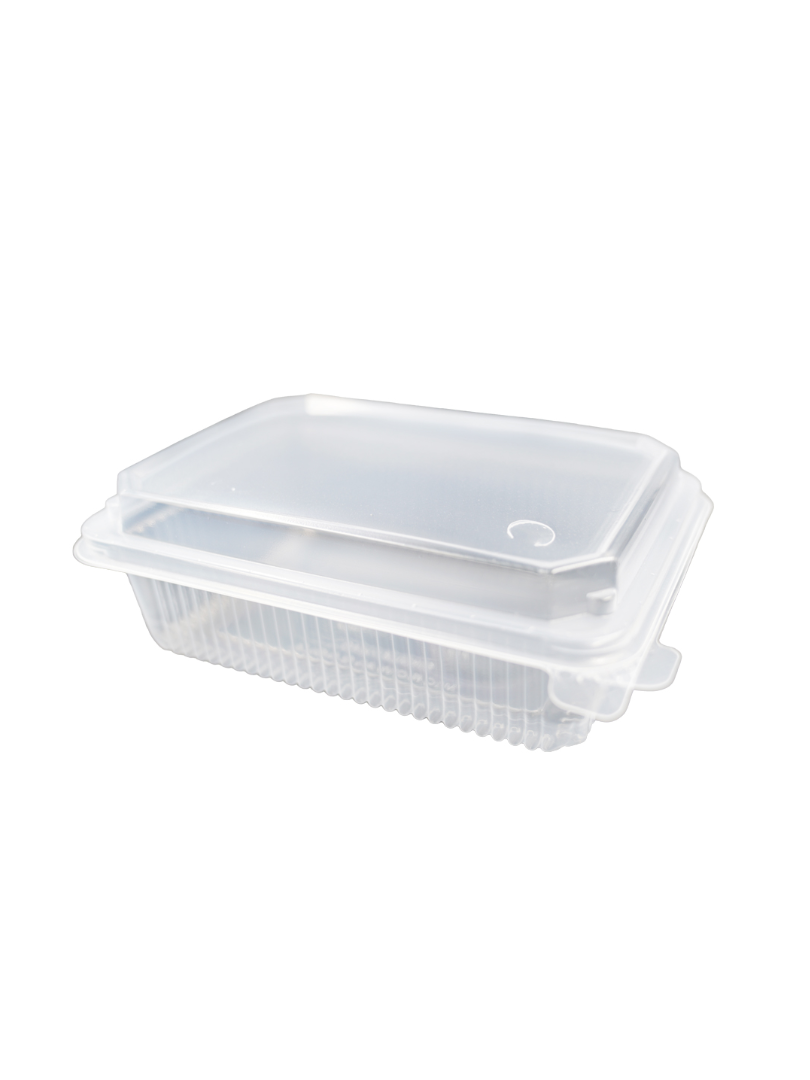 pixelcut-export-2026-03-08T140041
