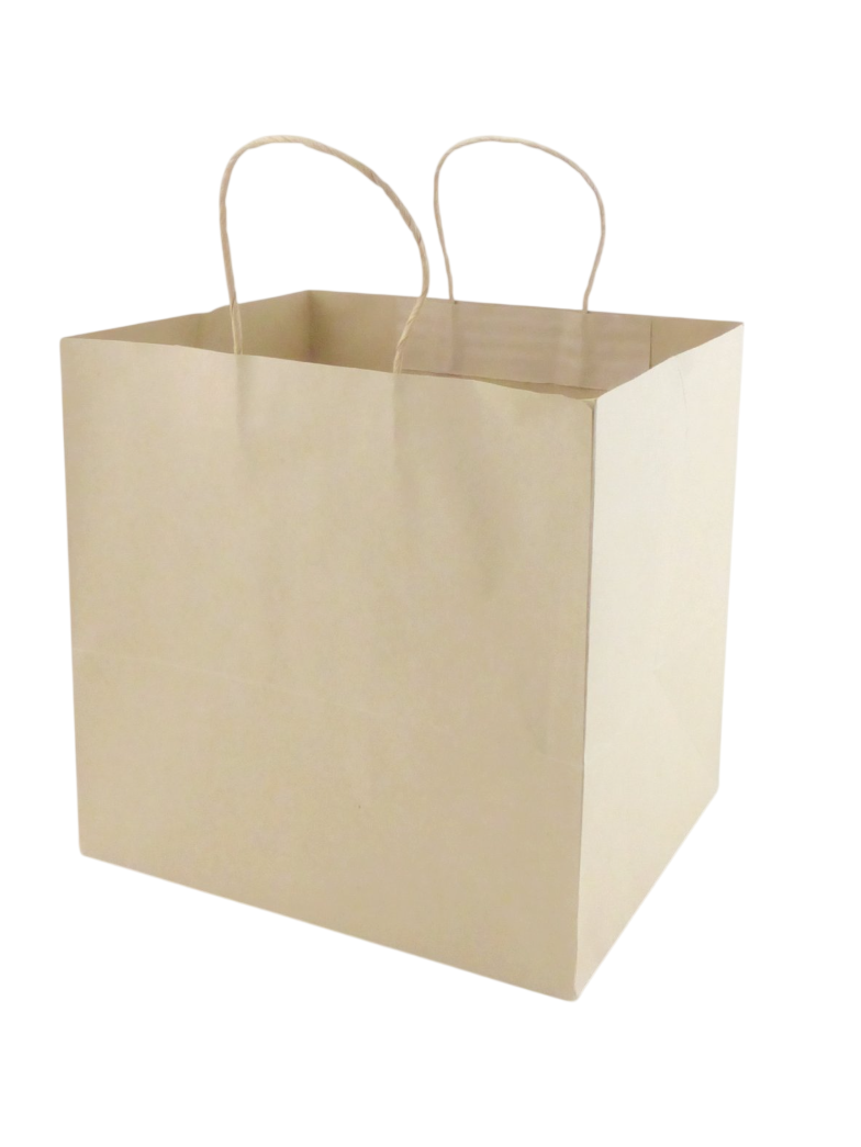 pixelcut-export-2026-03-08T162503