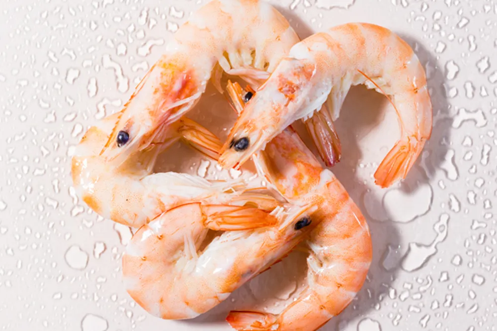 3-Shrimp-Protein