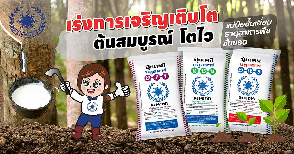 ปุ๋ยยางพาราดาวฟ้า-01