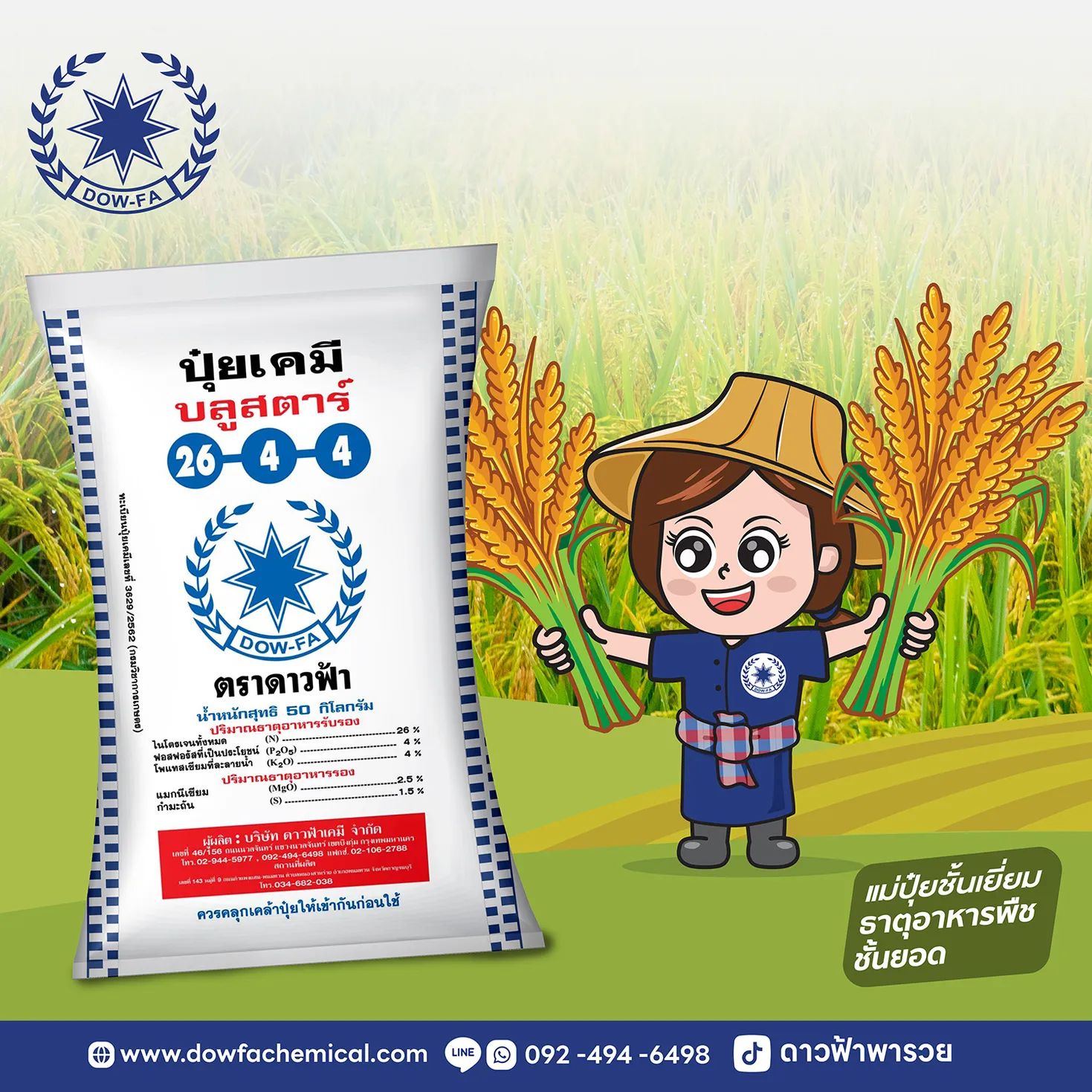 ปุ๋ยข้าวดาวฟ้ารอบแรก-02