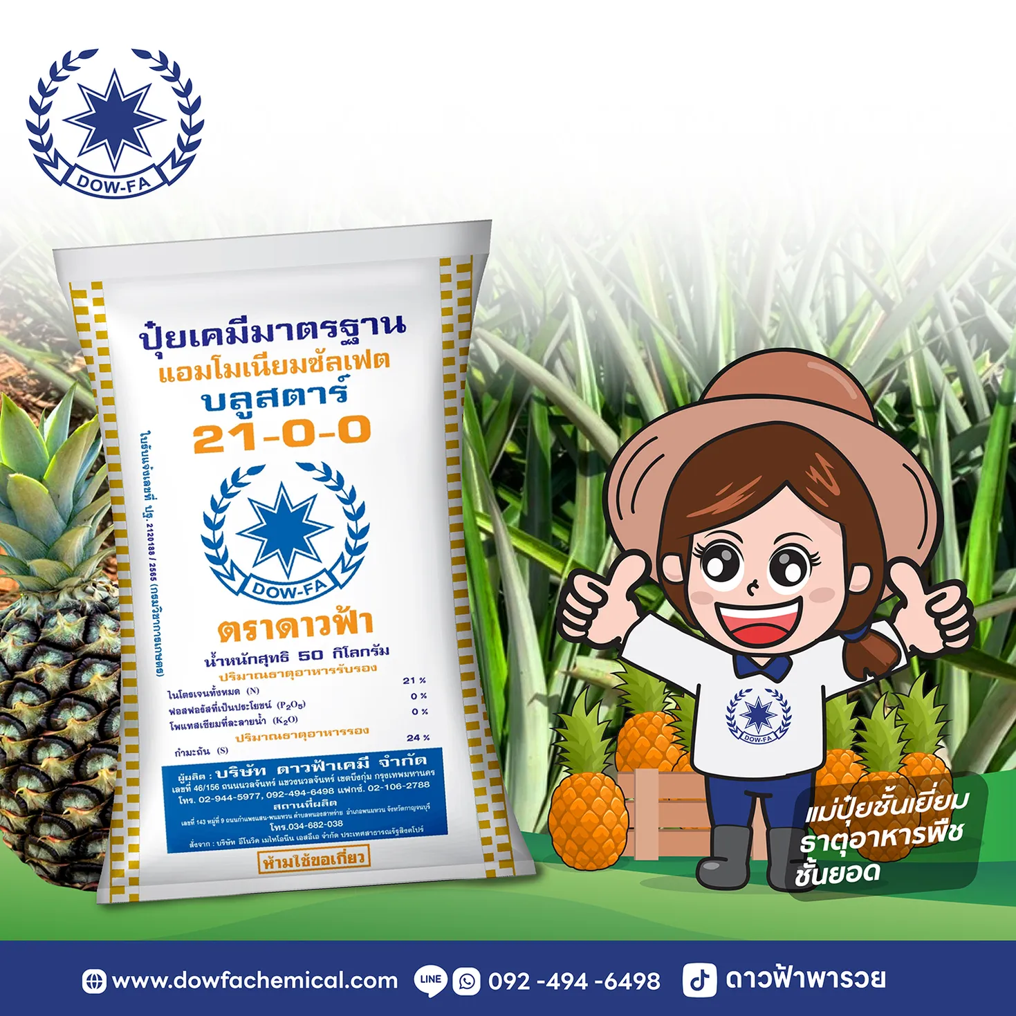 ปุ๋ยสับปะรดDFช่วงบำรุงต้น-01