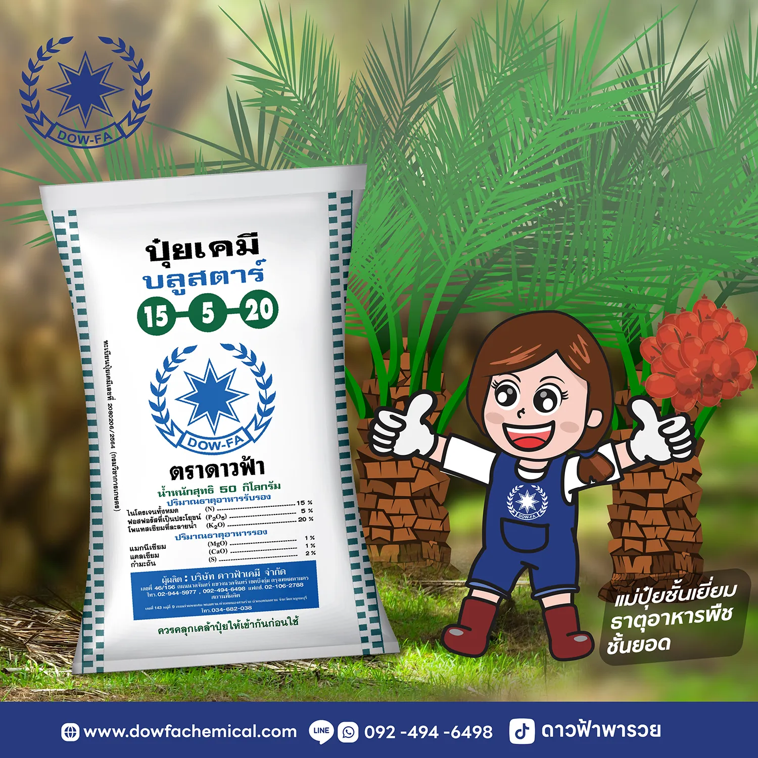 ปุ๋ยปาล์มน้ำมันDF3-5ปี-03
