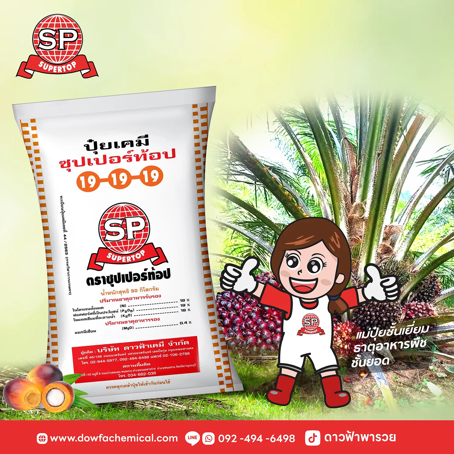 ปุ๋ยปาล์มน้ำมันSP3-5ปี-02