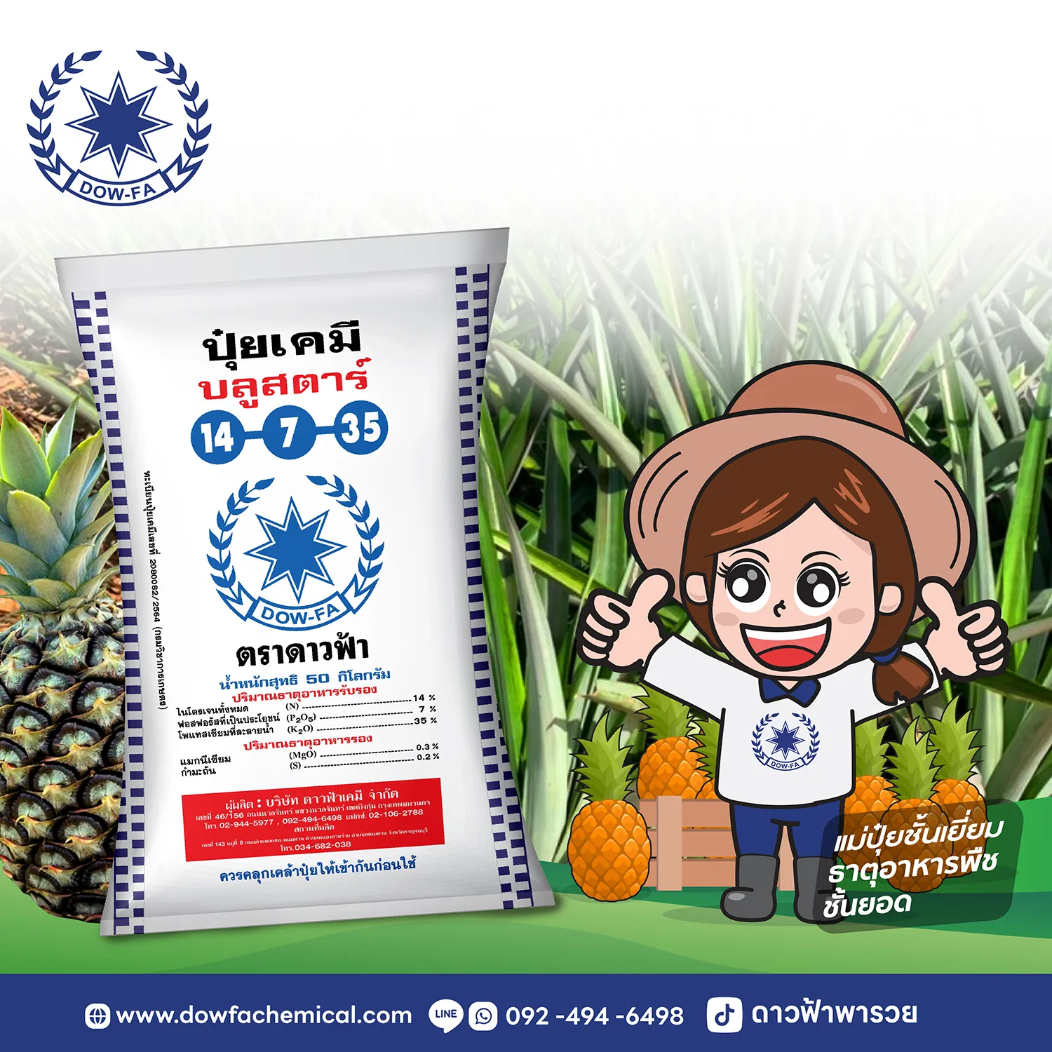 ปุ๋ยสับปะรดDFช่วงระยะขยายดอก-01