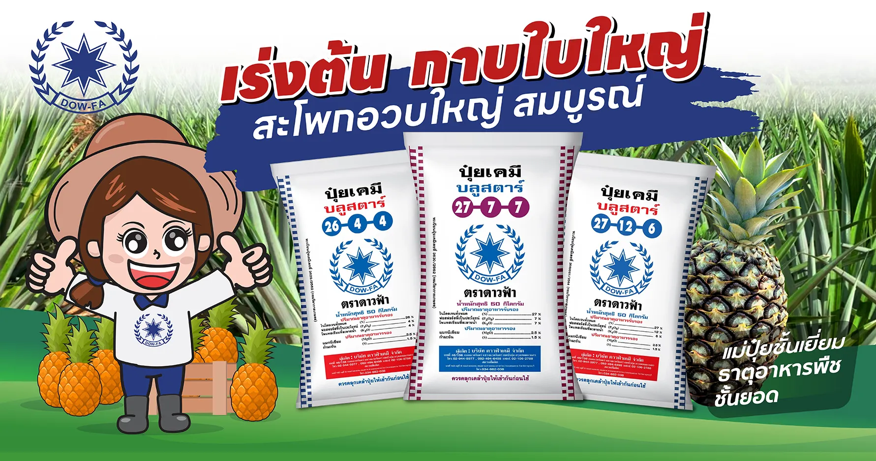 ปุ๋ยสับปะรดดาวฟ้า-01