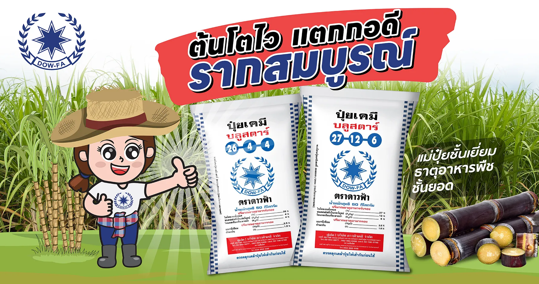 ปุ๋ยอ้อยดาวฟ้า