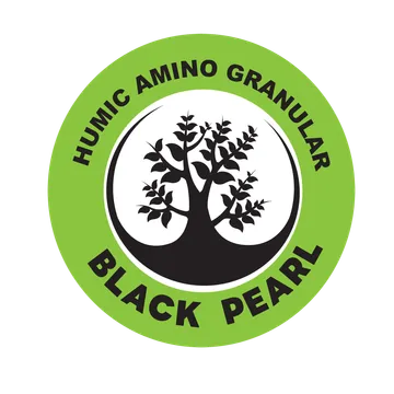 logoblackpearl