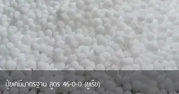 priduct-5