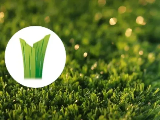GreenFieldsXP