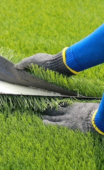 GRASS-VISION--2