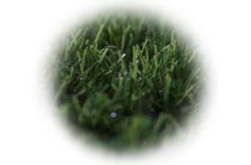 NewProject(55)