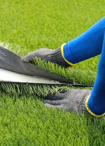 grassvision-2