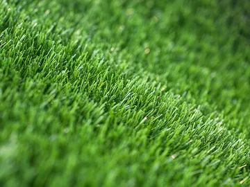 grassvision-4
