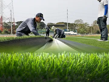 grassvision-5