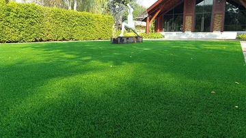 หญ้าเทียมตกแต่งทั่วไป0007GrasslandPlusDelux๒๐๑๒๐๒2